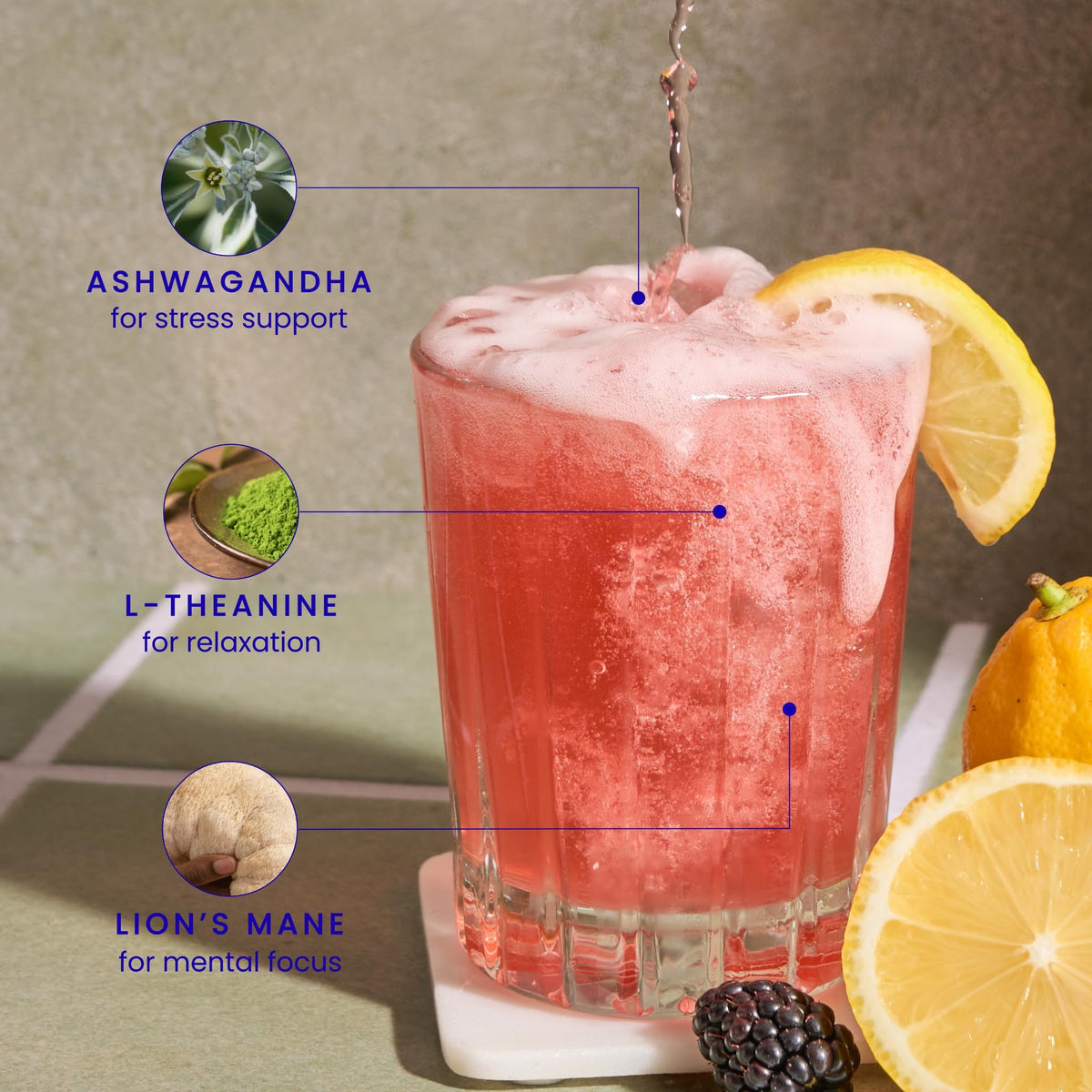 Mingle Mocktails Variety Pack Nootropic Non Alcoholic Drinks with Ashwagandha, L-Theanine, Lion's Mane, Adaptogens, Alcohol Alternative Pre-Mixed Mocktails, Gluten Free Vegan, 16 Pack 12 fl oz