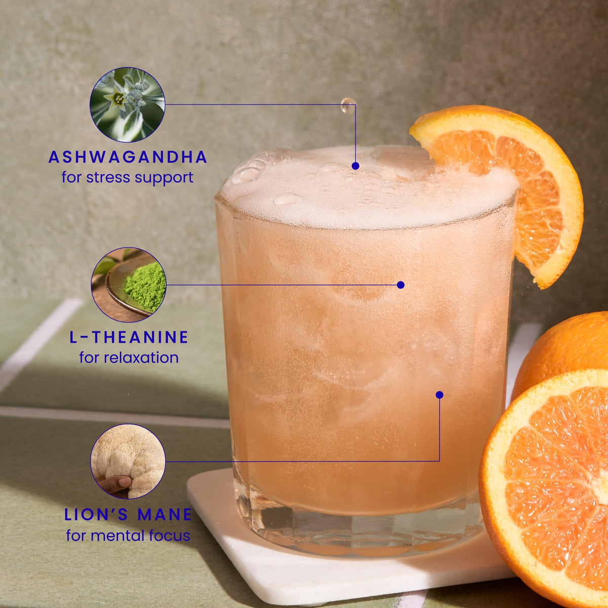 Mingle Mocktails Variety Pack Nootropic Non Alcoholic Drinks with Ashwagandha, L-Theanine, Lion's Mane, Adaptogens, Alcohol Alternative Pre-Mixed Mocktails, Gluten Free Vegan, 16 Pack 12 fl oz
