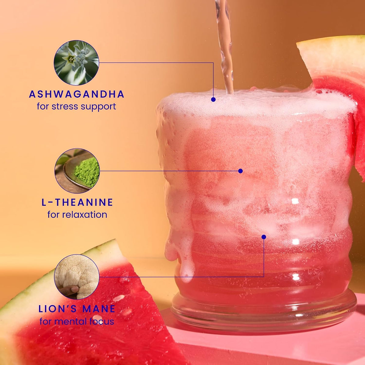 Mingle Mocktails Variety Pack Nootropic Non Alcoholic Drinks with Ashwagandha, L-Theanine, Lion's Mane, Adaptogens, Alcohol Alternative Pre-Mixed Mocktails, Gluten Free Vegan, 16 Pack 12 fl oz
